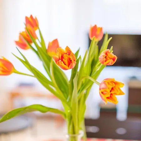 Riviera Anemone Appartement