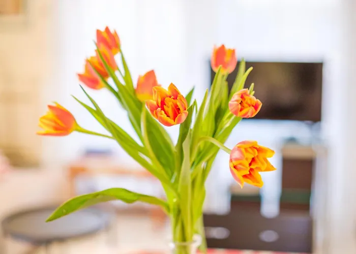 Riviera Anemone Apartment